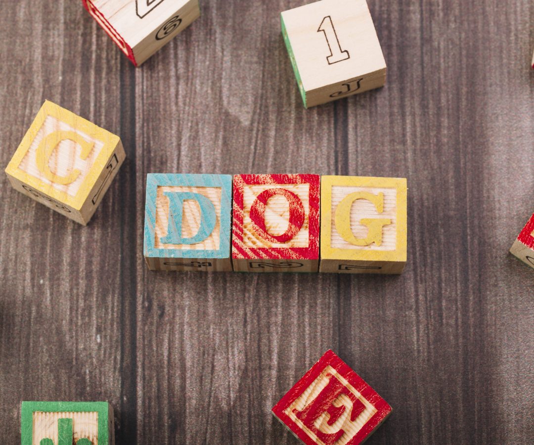 wooden-cubes-with-dog-inscription